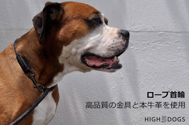 【HIGH5DOGS】ロープ首輪